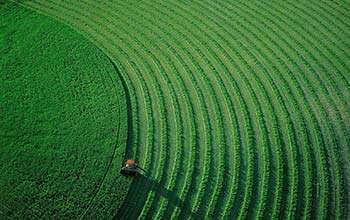 Мярка 121 Модернизиране на земеделските стопанства