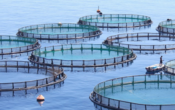 Мярка 2.2 Продуктивни инвестиции в аквакултурите