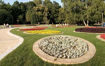 Мярка 322 Обновяване и развитие на населените места