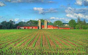 Мярка 4.1 „Инвестиции в земеделски стопанства”