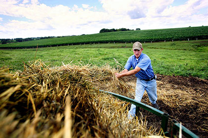 Приемът по мярка Млад фермер започва на 1 юни
