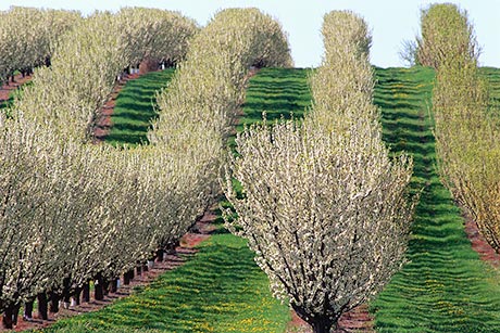 Отварят 16 мерки от ПРСР 2014-2020 през 2016 г.